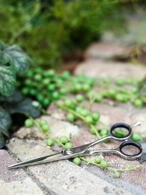 株式会社bella Notte 銀座 自由が丘 二子玉川 用賀 川崎 綱島 溝の口 府中 大宮 栄 求人 募集情報 会社概要 美容室の求人ならリクエストqj