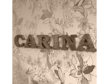 株式会社バンビーニ 求人 募集情報 会社概要 美容室の求人ならリクエストqj