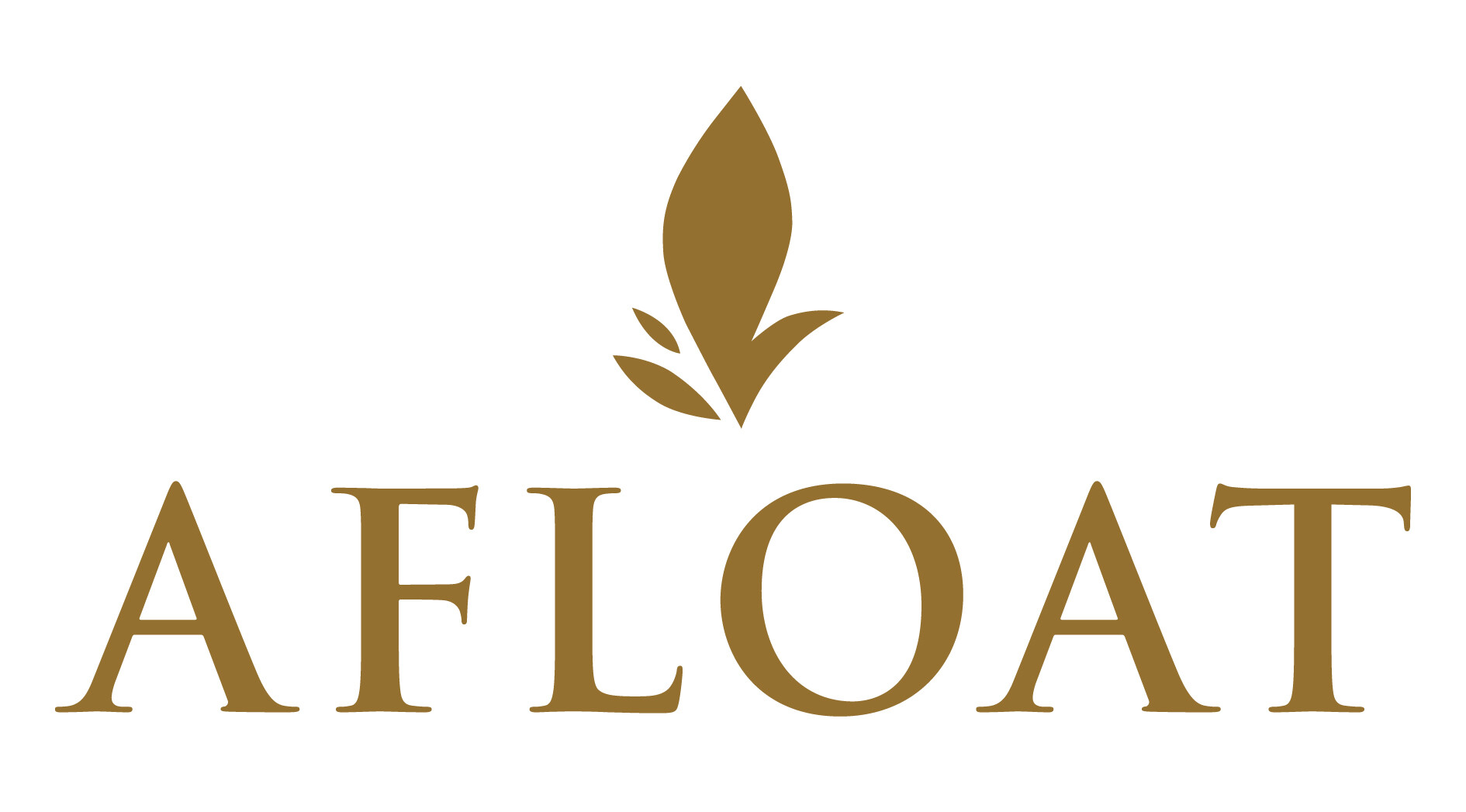 Afloat アフロート 新卒求人 募集情報 会社概要 美容室の求人ならリクエストqj