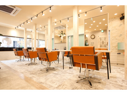 Agu hair aimer草加