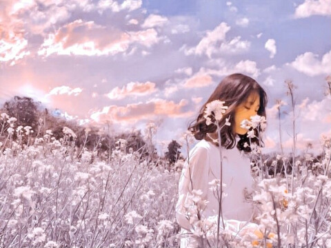 浅草美容室 Nia 髪質改善個室サロン ニア 台東区 東京都 のスタイリスト求人 正社員