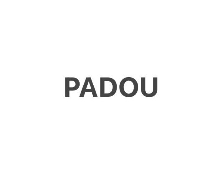 株式会社PADOU