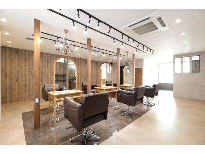 Agu hair opall日立