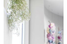 株式会社N-plants