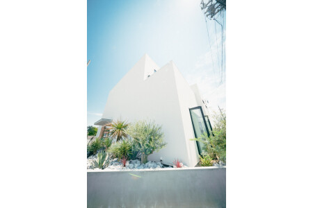 ◎店外にもグリーンがたくさん並んでいます。