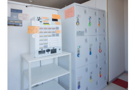 ハッピーカラー