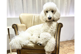 有限会社KETTE.30