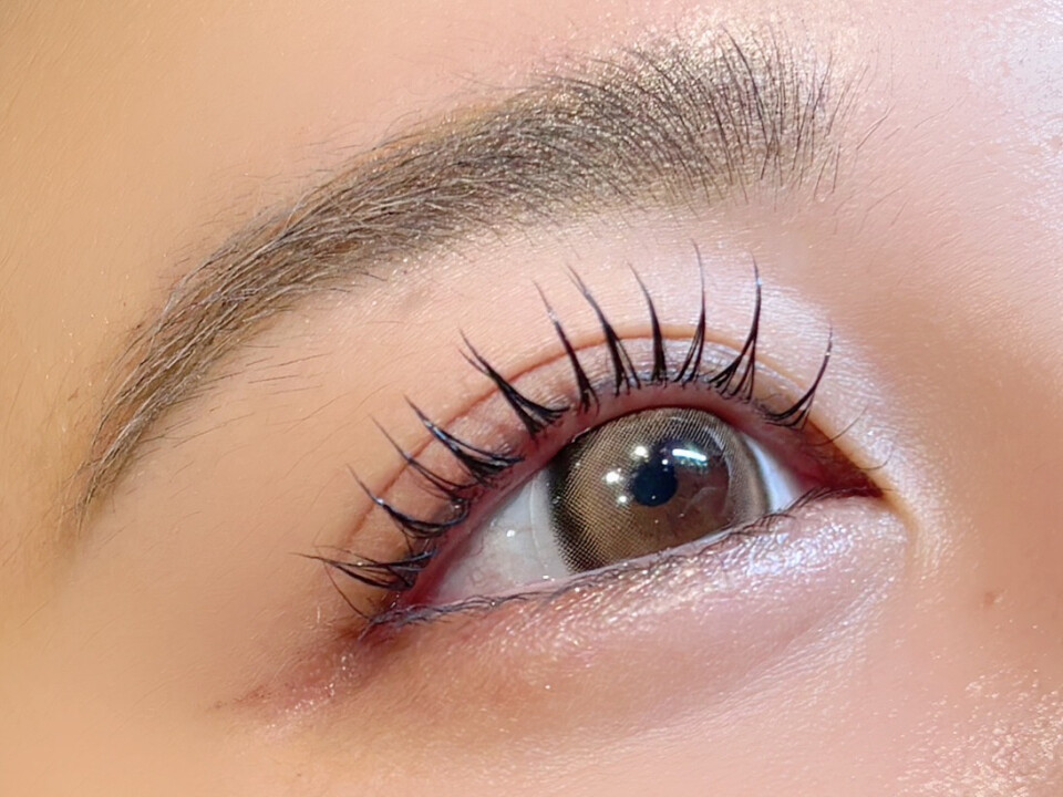 株式会社日陽樹