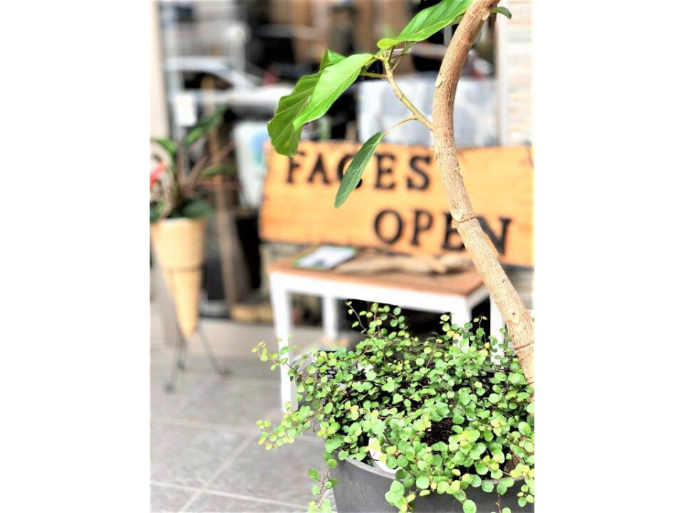 フェイセズ　ヘアラウンジ