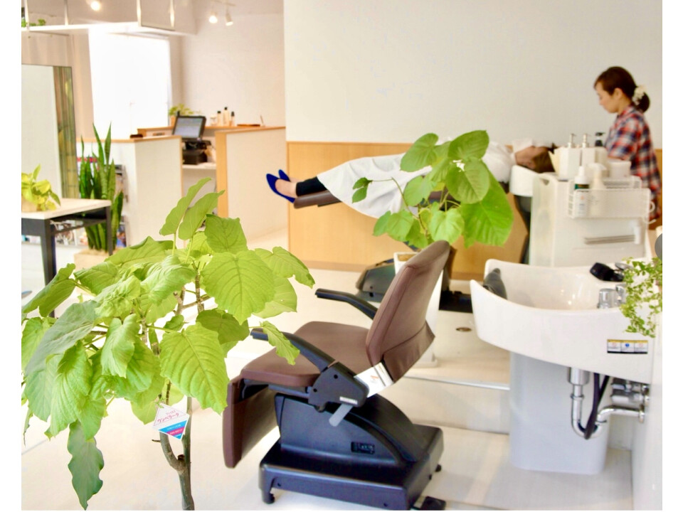 ブロッコリーヘアー株式会社