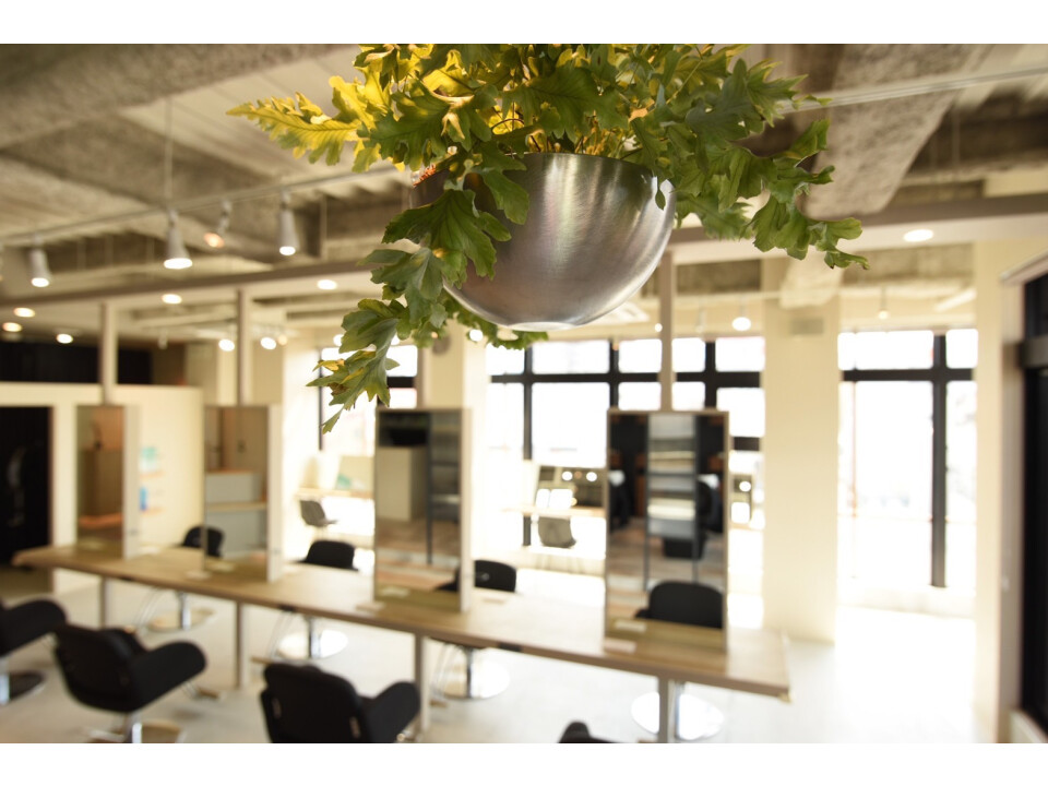 ‘Oli /Lia【オリ/リア】