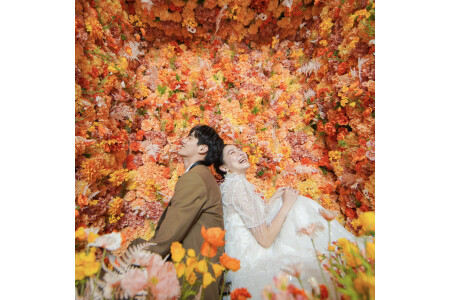 スタジオ撮影からロケーション撮影まで。