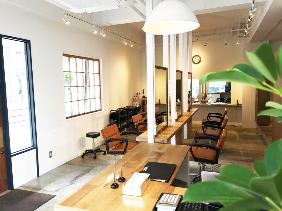 hair and spa palm（パーム）