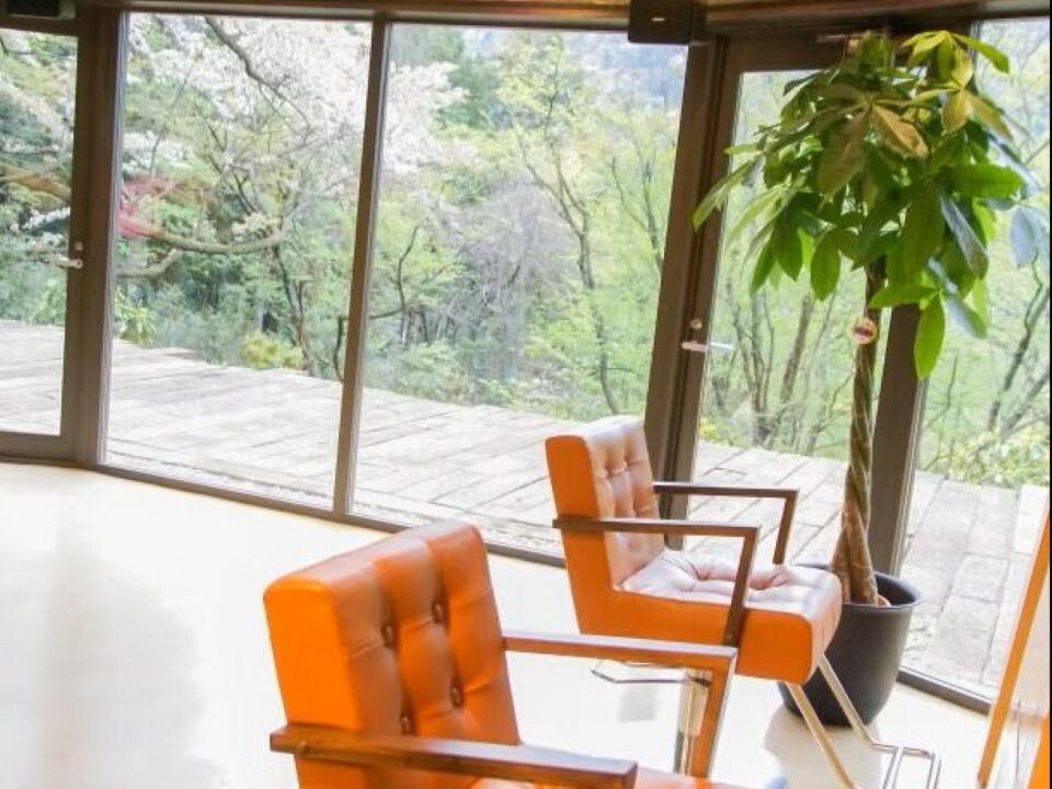 有限会社ハヤトインターナショナル