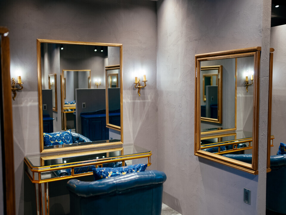 株式会社ALVELLA（アルベラ）