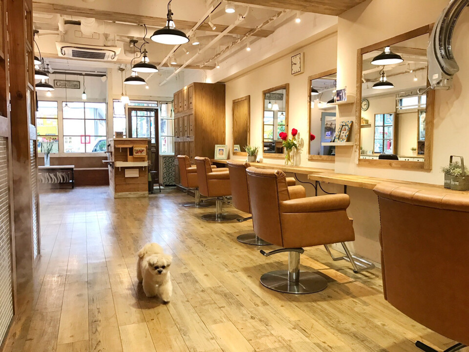 Sneakers（スニーカーズ）