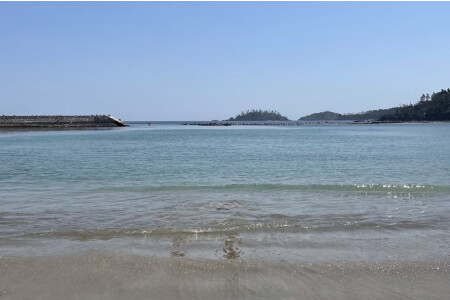 /images/user/common/photo_no_image.jpg