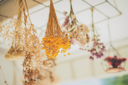 /images/user/common/photo_no_image.jpg