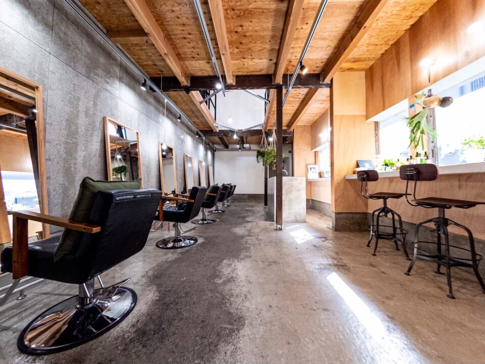 Qilm ／ Qと木