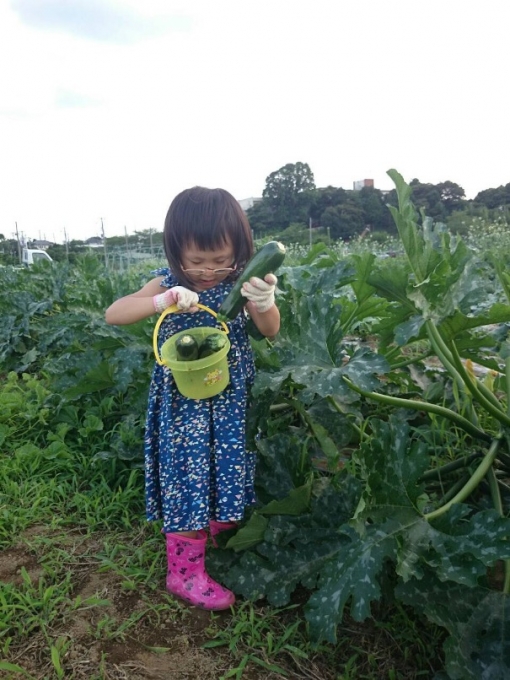 青木佳子Ramie (1)