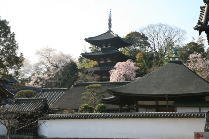 7.5写真剃髪堂側面＋東塔nakanobo-toutou