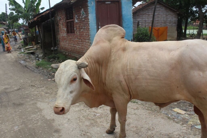 3OHBzkvKRJZZK_qQSaH0GA5E4-rG47I6wAL6zj4iM_k