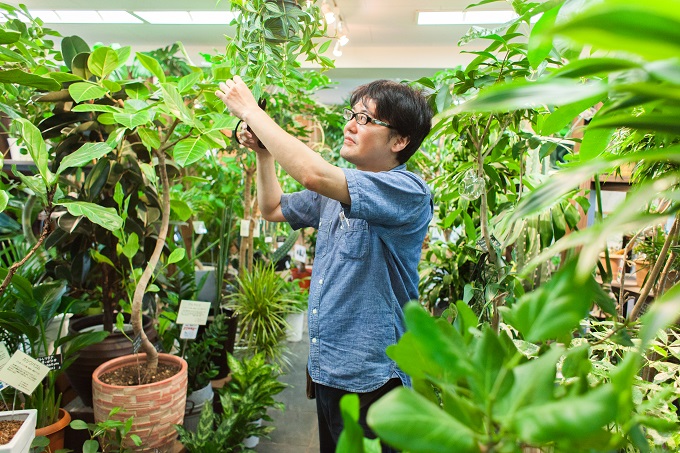 目指すは グリーンのあるおしゃれサロン 雰囲気別おすすめ観葉植物 お世話の仕方 リクエストqjナビ 特集 キャリアアップ