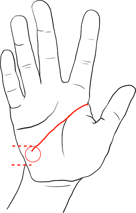 美容師手相占い あなたは愛されタイプ 経営者タイプ リクエストqjナビ 特集 キャリアアップ Page 2