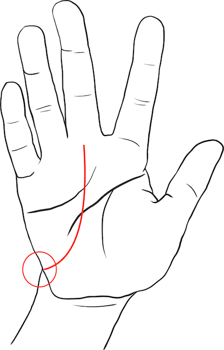 美容師手相占い あなたは愛されタイプ 経営者タイプ リクエストqjナビ 特集 キャリアアップ Page 3