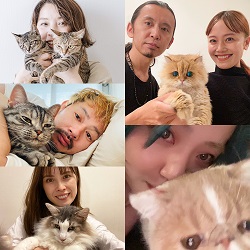 ねこlove 猫のいない生活は考えられない ねこバカ美容師による 美容師のためのねこ飼いのすすめ リクエストqjナビ 特集 キャリアアップ