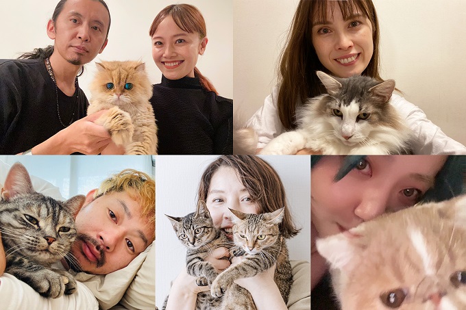 ねこlove 猫のいない生活は考えられない ねこバカ美容師による 美容師のためのねこ飼いのすすめ リクエストqjナビ 特集 キャリアアップ